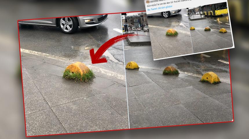 Semiha Dilara Hazır'ın 'baklava' paylaşımı gündem oldu! Birçok marka indirime gitti