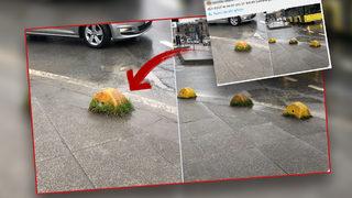 Semiha Dilara Hazır'ın 'baklava' paylaşımı gündem oldu! Birçok marka indirime gitti