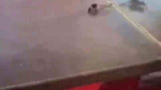 Mide bulandıran görüntü! Simit ve poğaça satışı yapılan arabanın tezgahındaki fareyi görenler şoke oldu