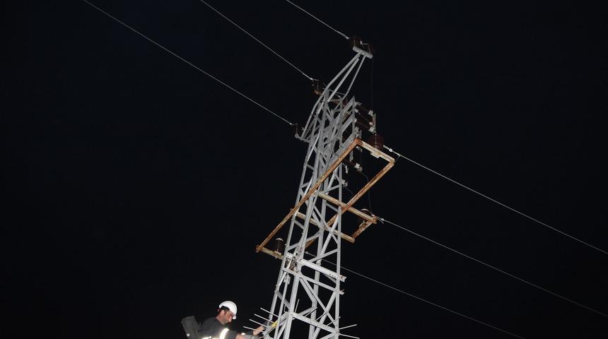 Yüksek gerilim hattına kapılan şahin 9 köyün elektriğini kesti