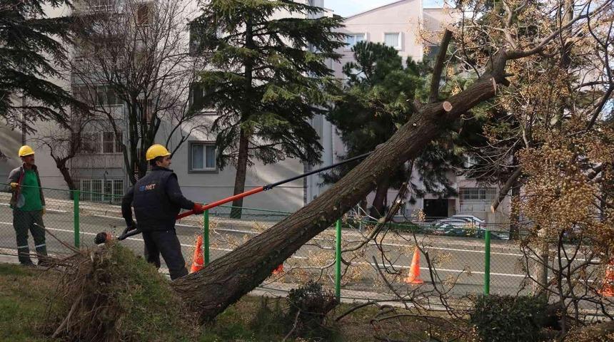 Bursa’da şiddetli lodosun etkisi sürüyor