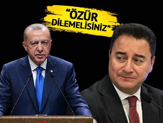 Babacan'dan Erdoğan'a yanıt: Özür dilemelisiniz