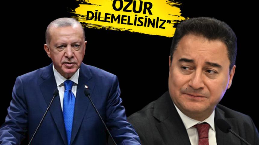 Erdoğan'ın 'çocuk bezi satmaya devam et' sözlerine Babacan'dan yanıt: Özür dilemelisiniz