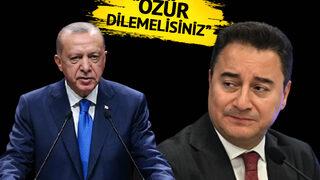 Erdoğan'ın 'çocuk bezi satmaya devam et' sözlerine Babacan'dan yanıt: Özür dilemelisiniz