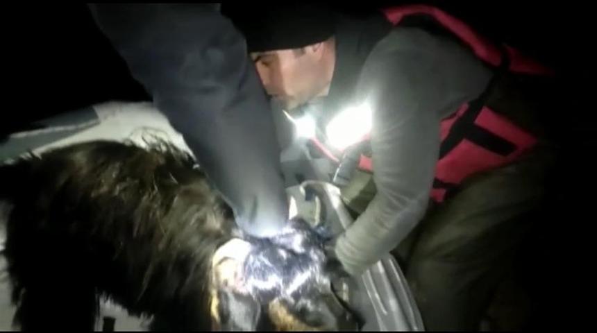 Batman&rsquo;da nehre d&uuml;şen ke&ccedil;ilerin imdadına dalgı&ccedil; ekipleri yetişti