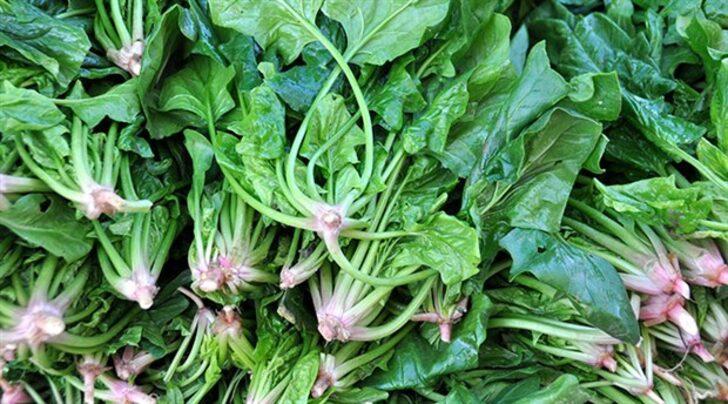 Uzmanlar "Mevsiminde tüketin!" diyerek uyarıyor! İşte Ekim ayında tüketilmesi gereken şifa dolu besinler... G3