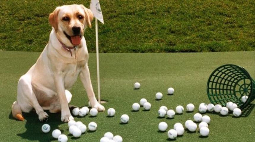 Golfçü işadamları CAN DOSTLARIMIZ için sahada 