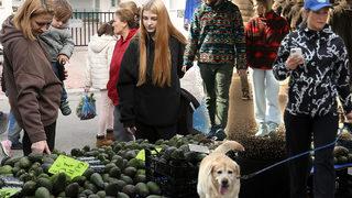 Mahkemeler tıkandı, kira fiyatları yüzde 172 arttı! Kentte her 4 konuttan birini onlar alıyor... Türkiye'de sadece Antalya mı var?