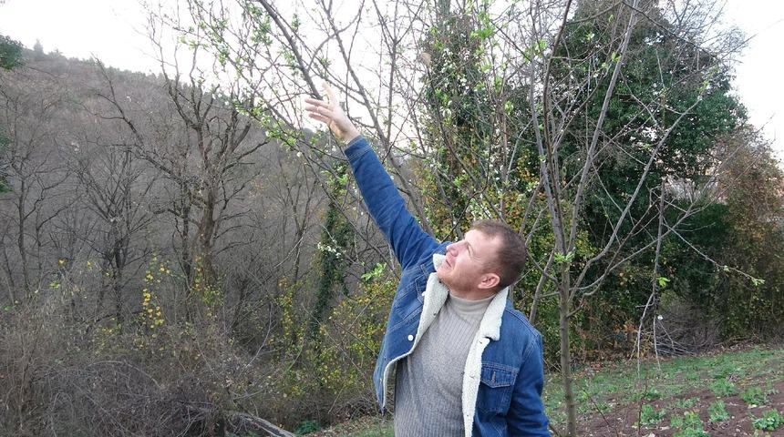 Komşusunun ağacını budamaya gitti, şaşkına döndü! Kışın ortasında garip ama gerçek olay