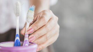 Mide bulandıran gerçek! Diş hekimi diş fırçanızdaki görünmeyen riski açıkladı