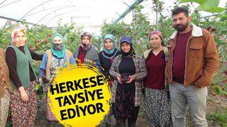 Kilosu 110 TL'ye alıcı buluyor! Yurt dışına bile satıyor... 'Sadece su veriyoruz bütün çiftçilere tavsiye ediyorum'