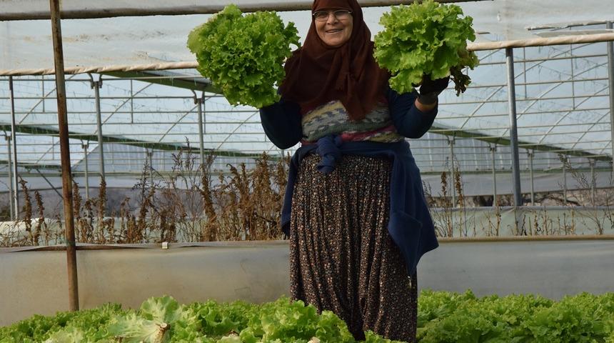 Devlet destek verdi: 30 bin kişiye ekmek kapısı oldu! İstanbul'un sebzesi 3 ilçeden...
