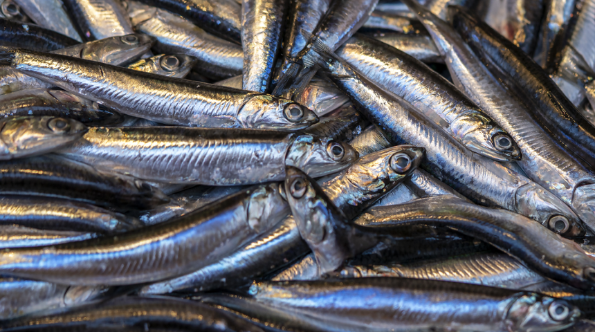 Yıllardır yanlış tüketiyormuşuz! Şifa deposunun en önemli yeri çöpe atılıyor