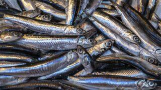 Yıllardır yanlış tüketiyormuşuz! Şifa deposunun en önemli yeri çöpe atılıyor