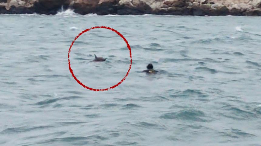 Bulgaristan açıklarında mayın paniği! Ekipler müdahale etti