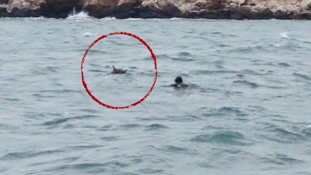 Bulgaristan açıklarında mayın paniği! Ekipler müdahale etti