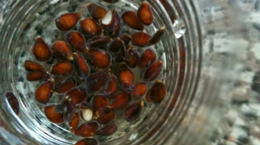 Kendi küçük etkisi büyük: Sakın çöpe atmayın! Cildi gençleştiriyor, öksürüğü kesiyor