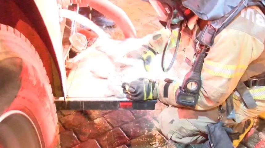 Beyoğlu’nda 4 katlı binada yangın! Dumandan etkilenen kediye itfaiyeden kalp masajı