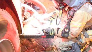 Beyoğlu’nda 4 katlı binada yangın! Dumandan etkilenen kediye itfaiyeden kalp masajı