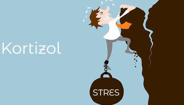 Stres-Düzenleyici-Hormon-Kortizol-Nedir-İnsan-Hayatına-Nasıl-Etki-Eder