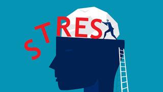 Stresi kontrol etmek artık elimizde! Her taşın altından o çıkıyor! 