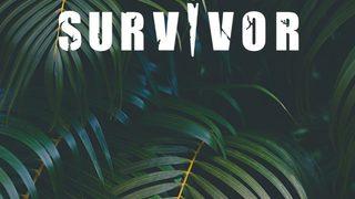 Survivor bu akşam var mı? Survivor yeni bölüm ne zaman, saat kaçta? 27 Ocak 2023 TV8 yayın akışı