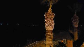 Aydın'ın Didim ilçesinde bir koyda ceset bulundu!