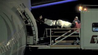 Moskova'da 13. kattan düşüp ağır yaralanan Türk öğrenci, 37 gün sonra İstanbul'a getirildi! 