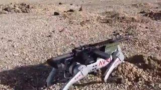 Çatışmaların seyrini değiştirecek! İHA ve SİHA'lardan sonra Avcı Kurt... Dünya benzerlerini üretmeye çalışırken ilk atış testini başarıyla geçti!