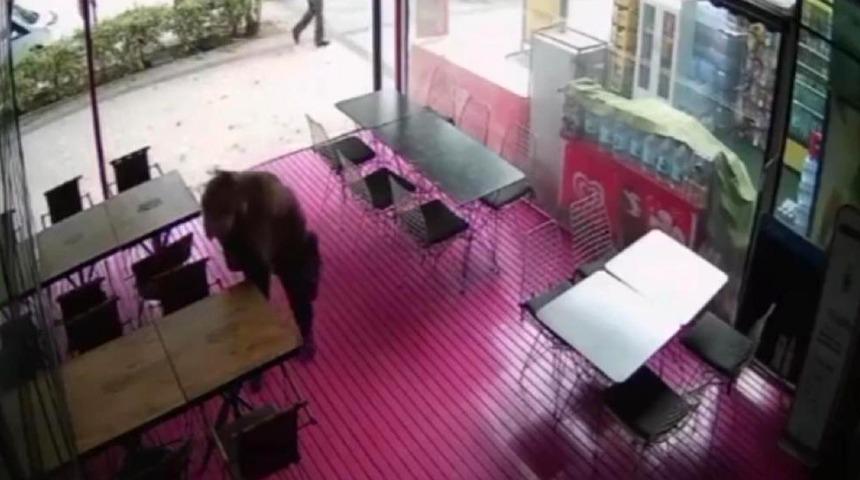 İş görüşmesine gitti, işe alınmayınca yaptığı şaşkına çevirdi! 'Bir insanın bunu yapabileceği aklıma gelmezdi'