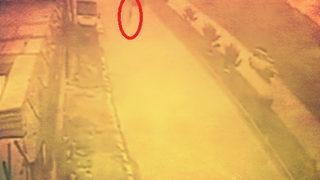 Adana'da 8 yaşındaki çocuğun feci ölümü! Köpekten kaçarken...