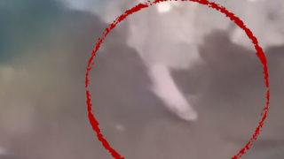 Yer: Tunceli... Kaplıcada bulunduğu esnada fark etti! Böylesi özel canlılara denk gelmek heyecan verici