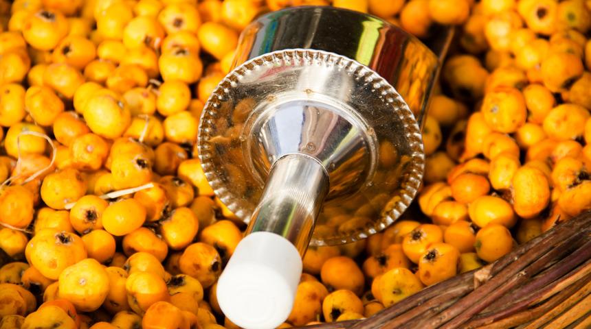 Ge&ccedil; keşfedildi: Ona 'doğal kalp ilacı' diyorlar