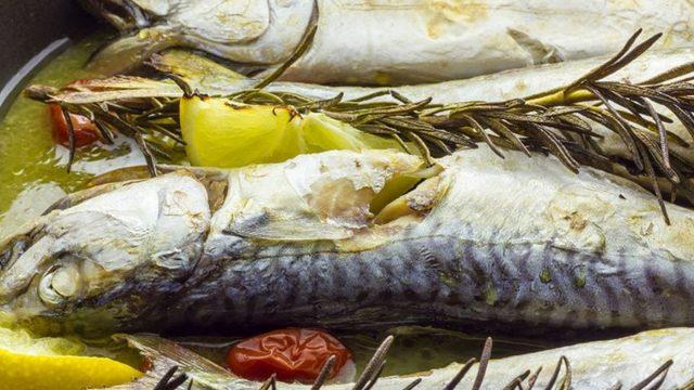 Şifa deposu: Uskumru tarifi! Fırında uskumru nasıl yapılır?