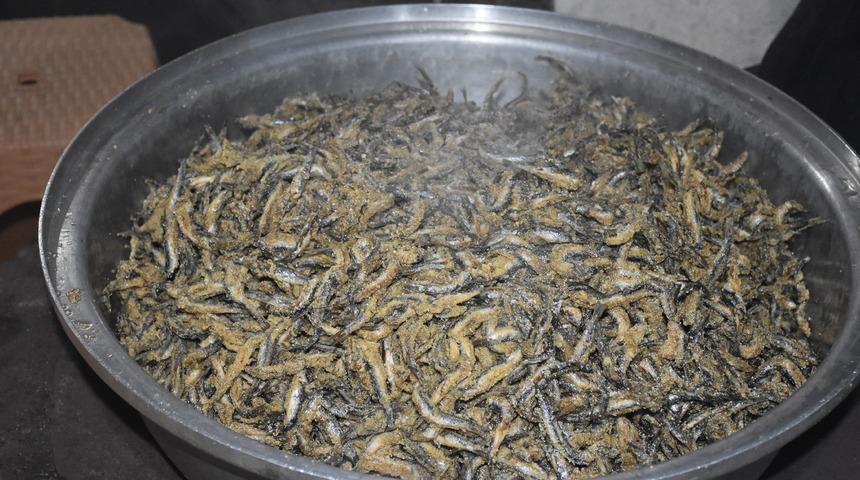 Sakarya'daki festivalde 1 ton hamsi ikram edildi