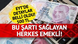 SON DAKİKA | Çalışan herkesi yakından ilgilendiriyor zorunlu emeklilik şartı kalkıyor 'İşverene 500 TL destek'