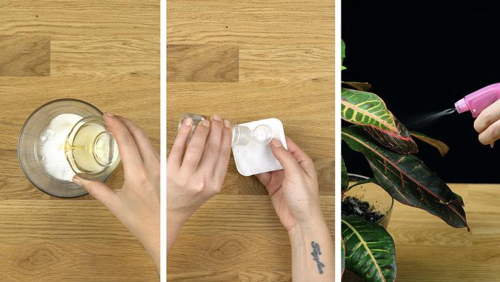 Her derde deva sirkenin 5 mucizesi