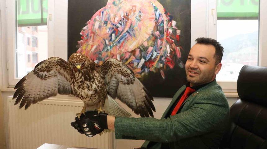 Yaralı bulduğu şahine ‘Tofaş’ adını verdi