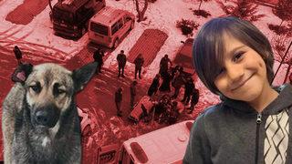 Sokak köpeği boğazından ısırmıştı! Minik Emir Mete'nin ölümündeki detay gündem yarattı: Sahiplenip sokağa salmış