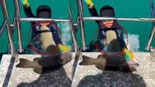 Korku dolu anlar! Tekneye çıkmaya çalışan 8 yaşındaki çocuğa köpekbalığı böyle saldırdı