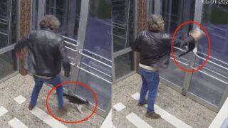 Görüntüler sosyal medyayı ayağa kaldırmıştı! Kedi düşmanı yakalandı