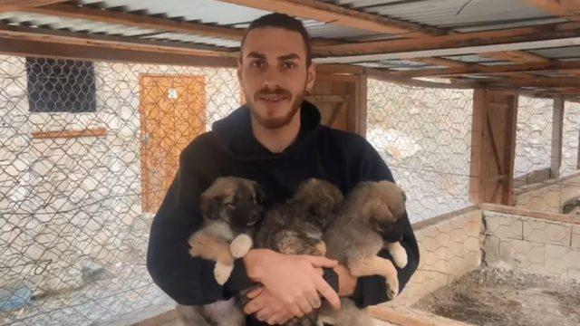 Yıkılan beton bloklarda mahsur kalan yavru köpekler, iş makinesi yardımıyla kurtarıldı