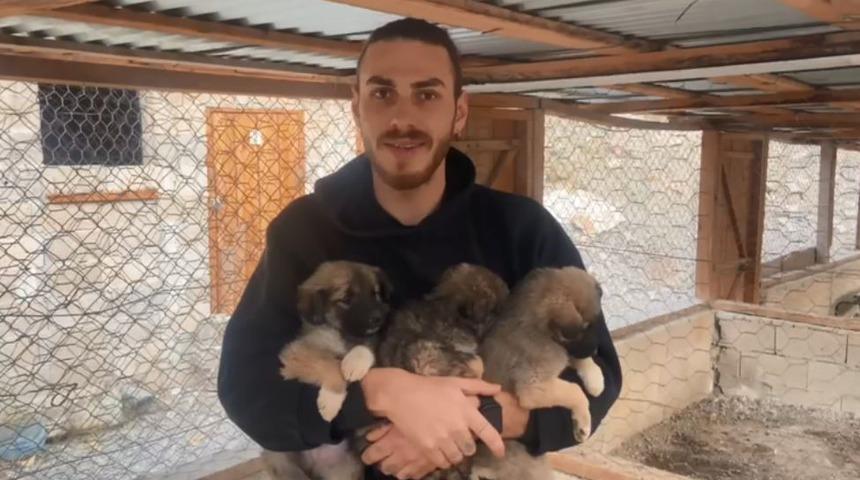 Yıkılan beton bloklarda mahsur kalan yavru köpekler, iş makinesi yardımıyla kurtarıldı