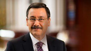 Gökçek'in 2 bıyıklı kedisi de gidiyor