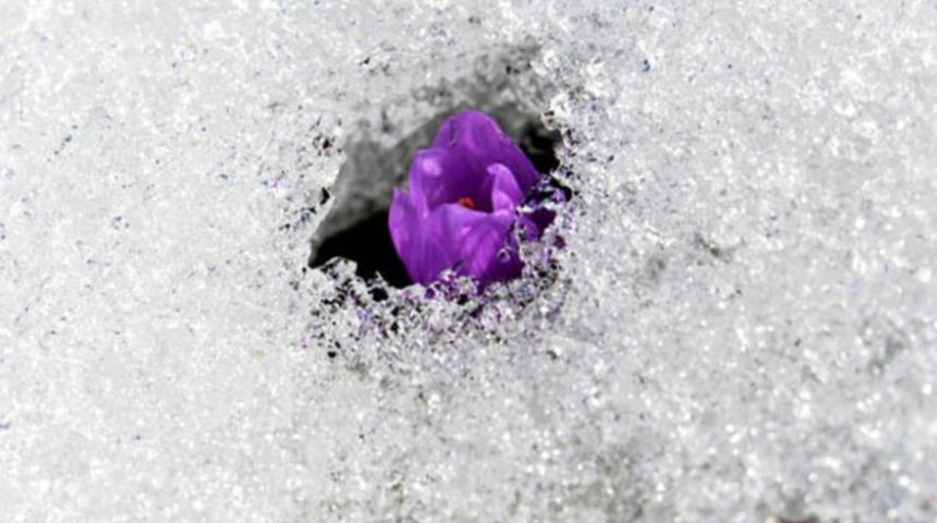 İlk cemre ne zaman düşer, hangi tarihlerde? 2023 cemre düşme tarihleri