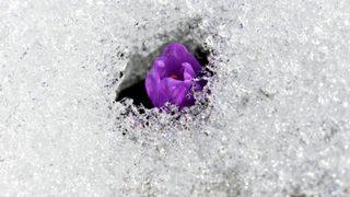 İlk cemre ne zaman düşer, hangi tarihlerde? 2023 cemre düşme tarihleri