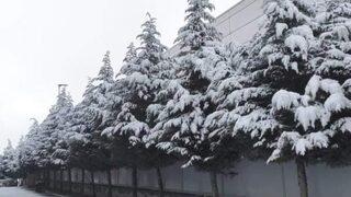 Dilovası’nda kar yağışı etkili oldu