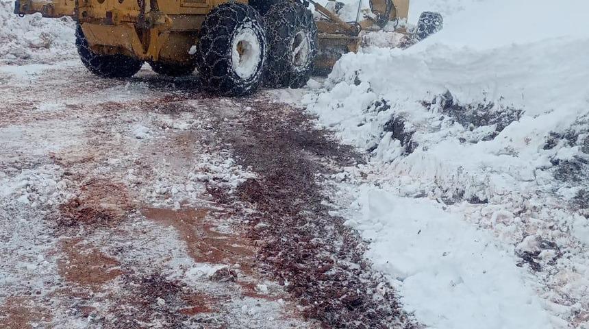 Bingöl, Elazığ, Batman ve Şırnak'ta kar nedeniyle 784 yerleşim yerine ulaşım sağlanamıyor