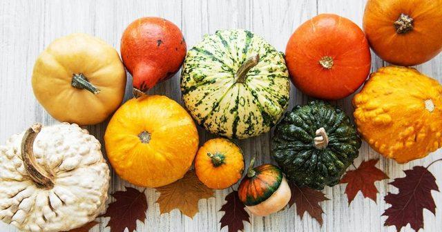 pg-types-of-pumpkins-1637146779
