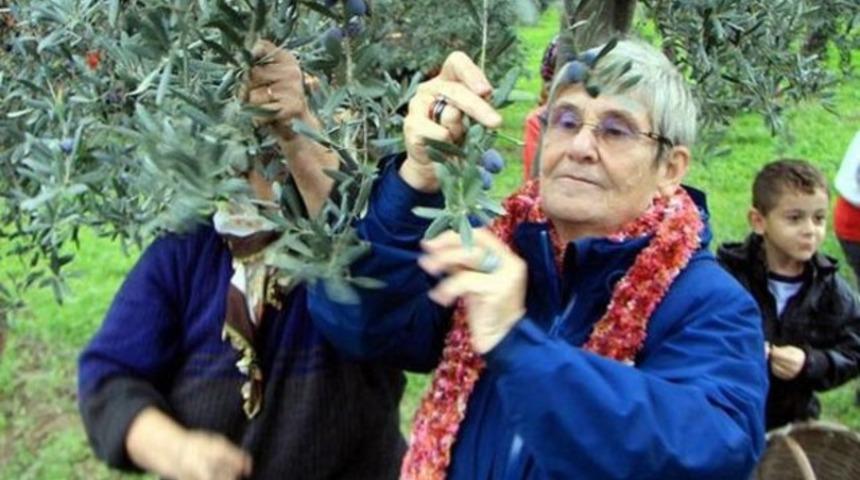 Canan Karatay zeytin şehri Muğla'da: Zeytinyağını su i&ccedil;er gibi i&ccedil;in